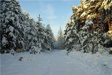 破月勇者热门阵容推荐：速杀与铁桶的艺术